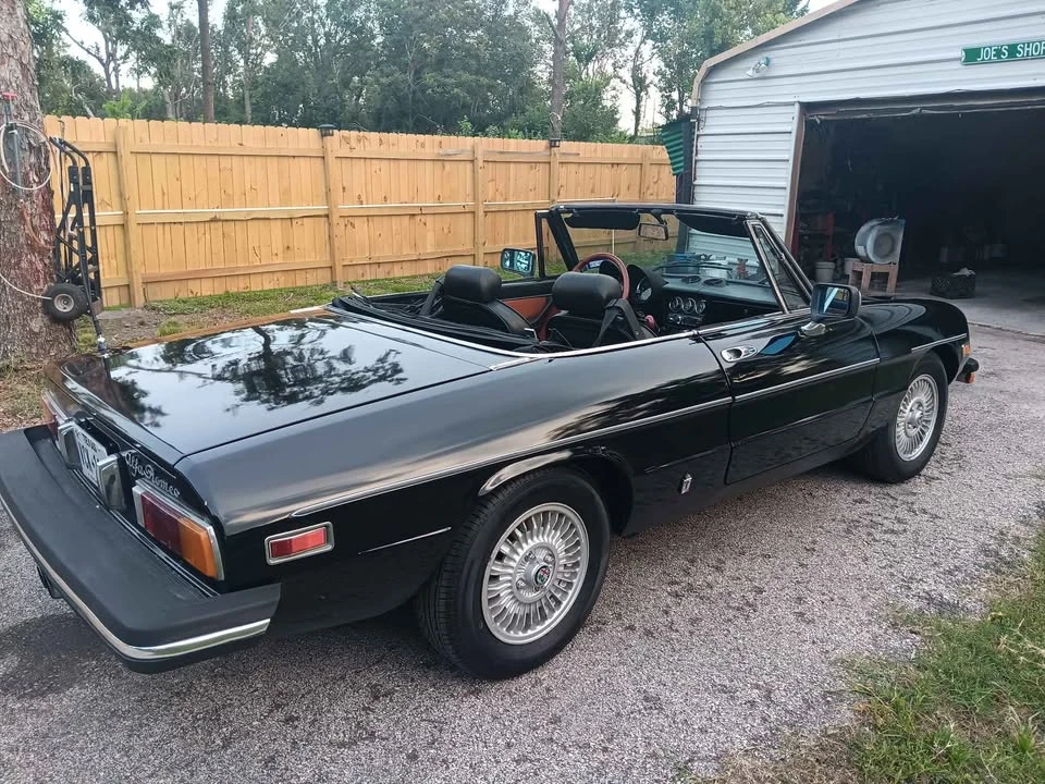 1981 Alfa Romeo Series 2 - Image 4 of 8