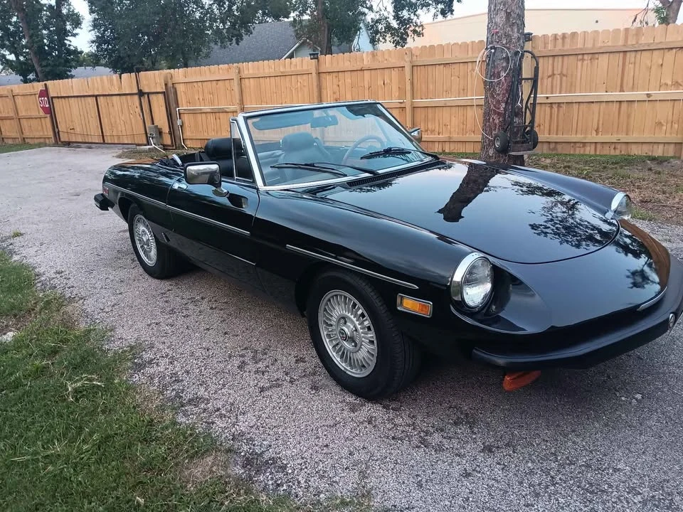 1981 Alfa Romeo Series 2 - Image 7 of 8