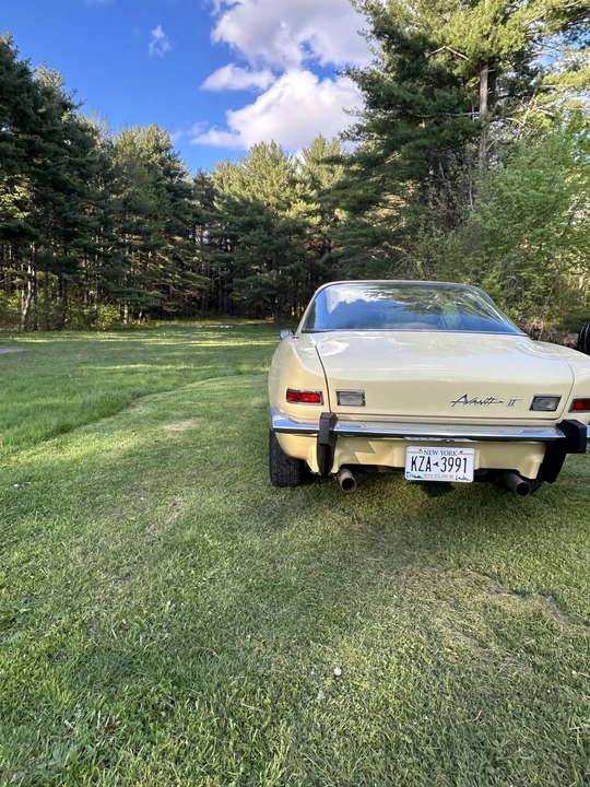 1981 Studebaker Avanti - Image 10 of 31
