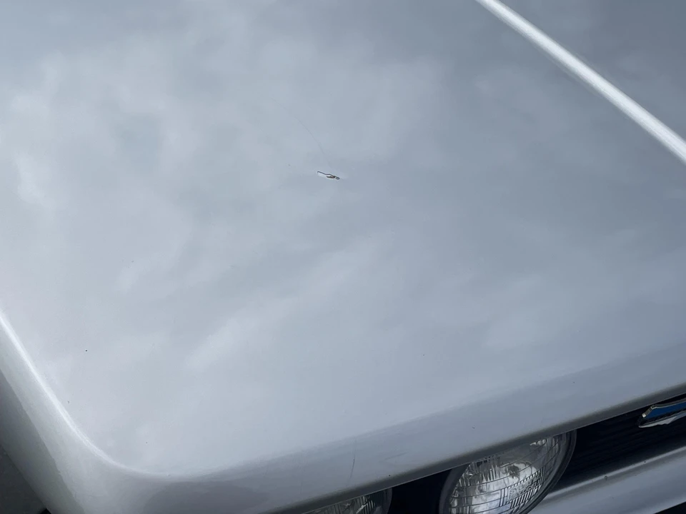 1981 BMW E21 3 Series - Image 28 of 31