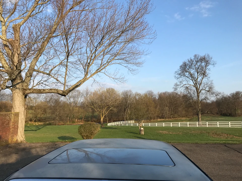 1981 BMW E23 7 Series - Image 27 of 31