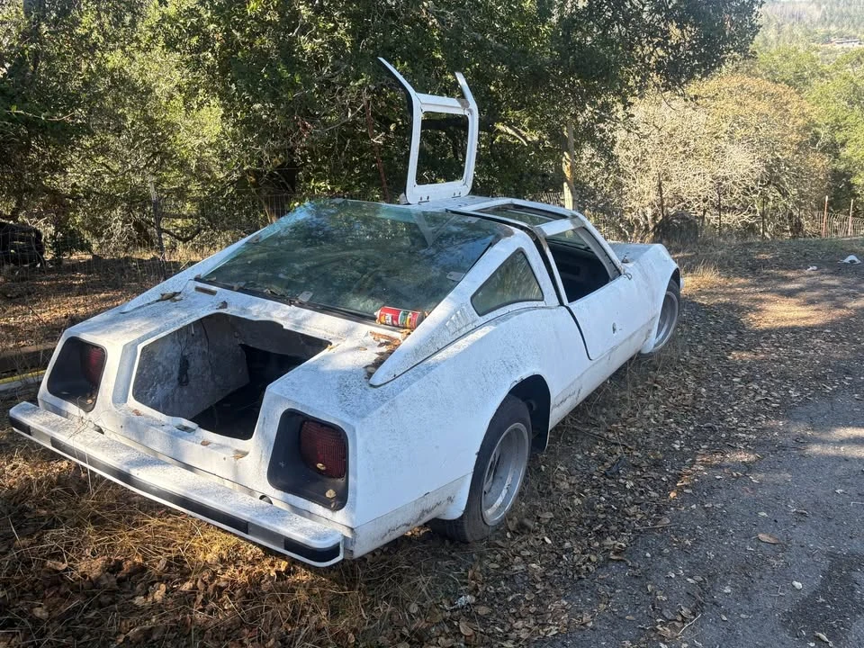 1981 Bradley - Image 3 of 3
