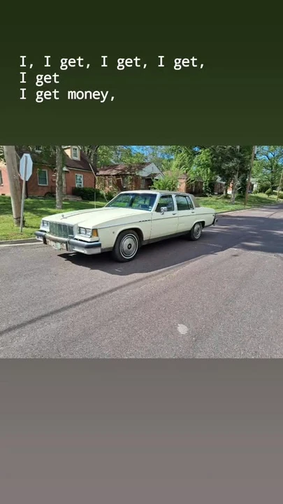 1981 Buick Electra - Image 21 of 21
