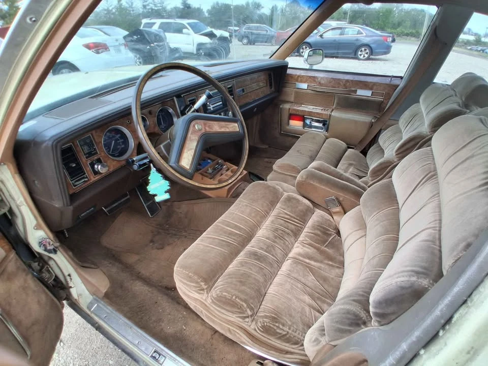 1981 Buick Electra - Image 15 of 21