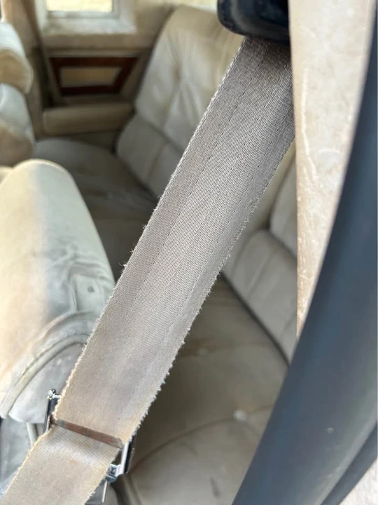 1981 Buick Regal - Image 3 of 11