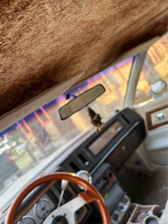 1981 Buick Regal - Image 2 of 11