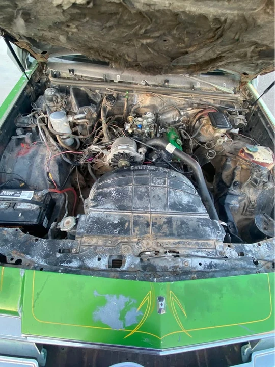 1981 Buick Regal - Image 7 of 11