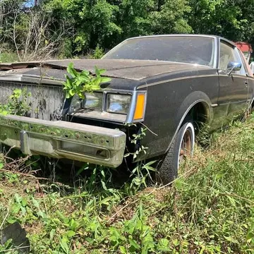 1981 Buick Regal Limited Coupe