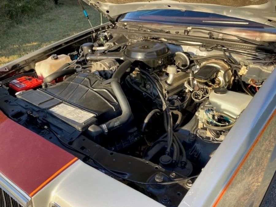 1981 Buick Regal - Image 9 of 9
