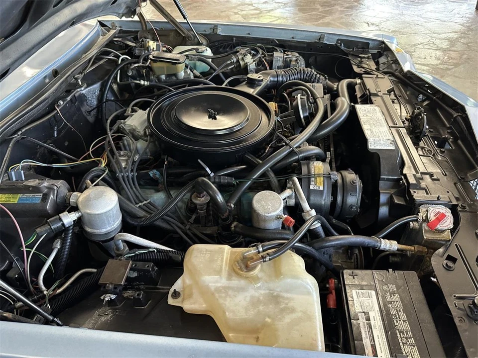 1981 Buick Riviera 4th-7th Gen - Image 15 of 31