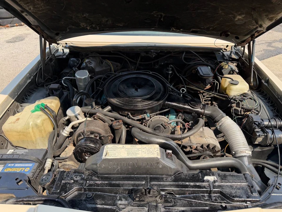 1981 Buick Riviera 4th-7th Gen - Image 10 of 17