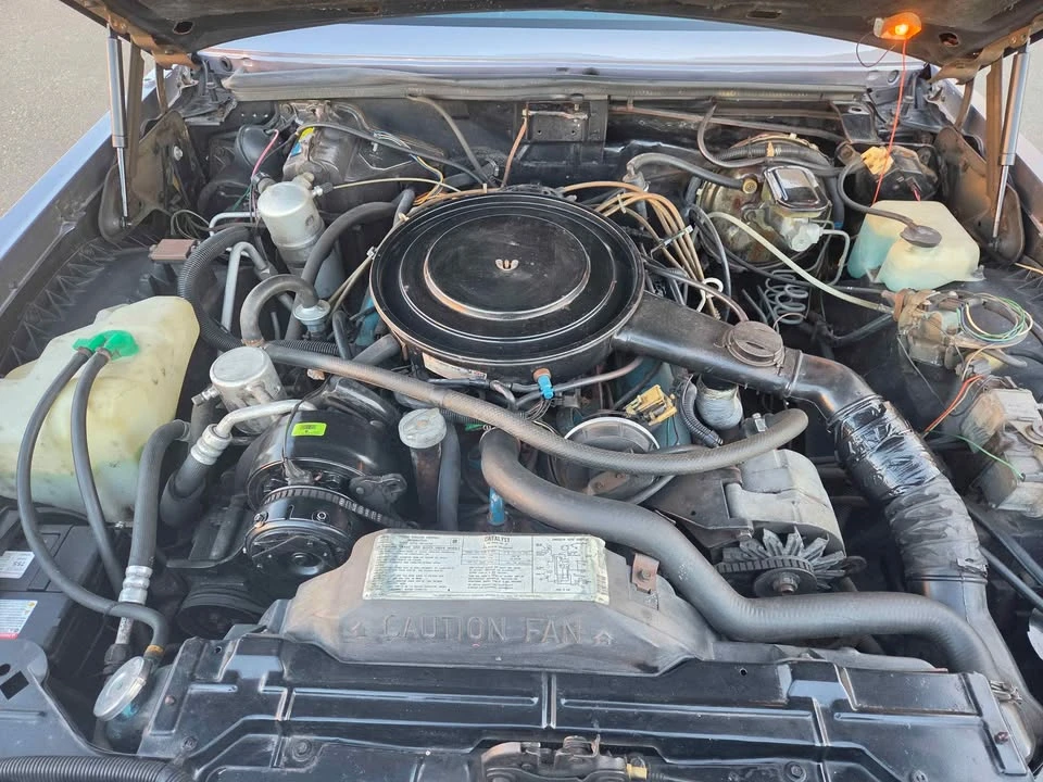 1981 Buick Riviera 4th-7th Gen - Image 7 of 19