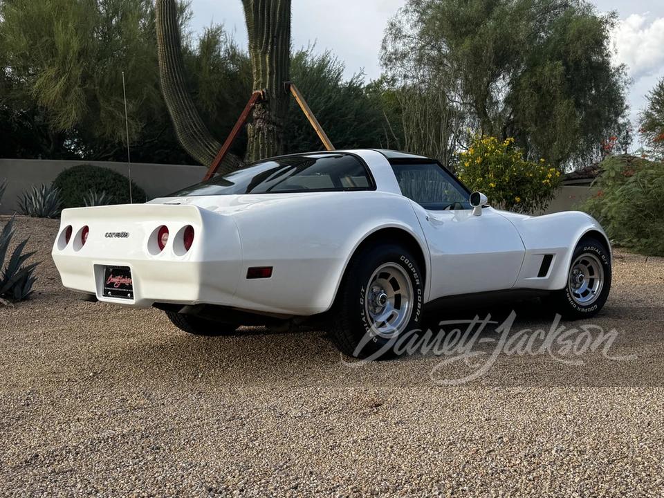 1981 Chevrolet Corvette C3 - Image 14 of 14