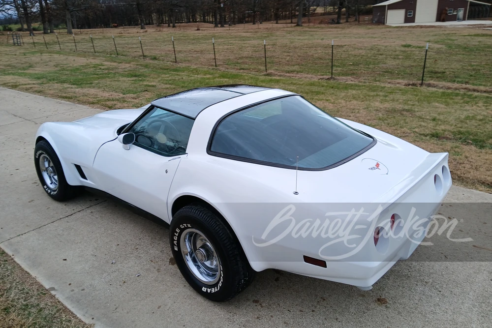 1981 Chevrolet Corvette C3 - Image 14 of 14