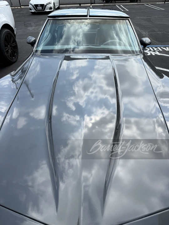 1981 Chevrolet Corvette C3 - Image 18 of 31