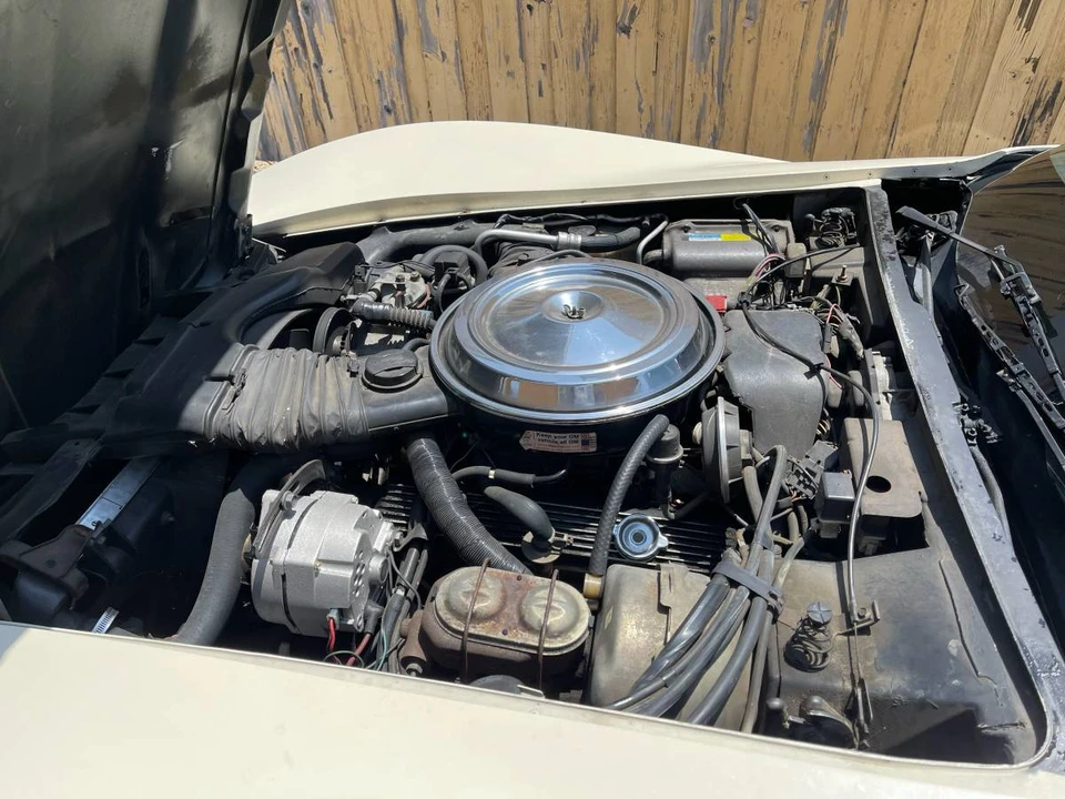 1981 Chevrolet Corvette C3 - Image 8 of 8