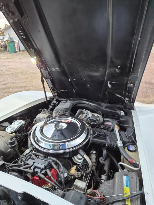 1981 Chevrolet Corvette C3 - Image 9 of 10