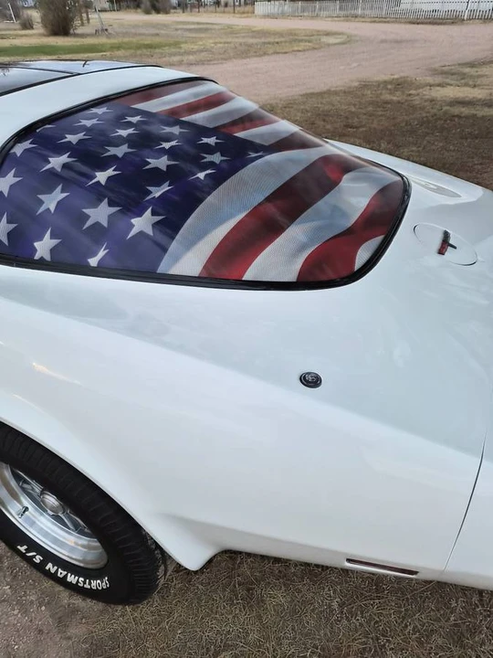 1981 Chevrolet Corvette C3 - Image 10 of 10