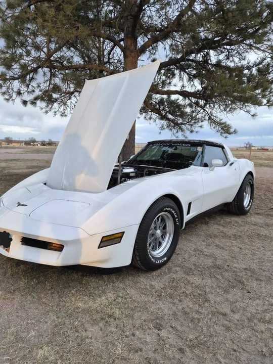 1981 Chevrolet Corvette C3 - Image 24 of 24