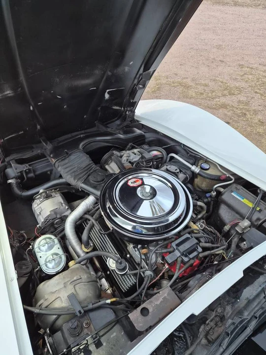 1981 Chevrolet Corvette C3 - Image 23 of 24