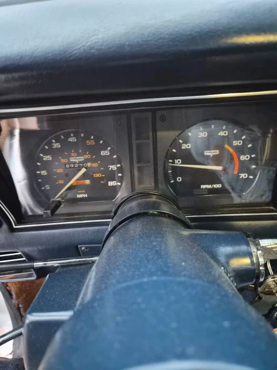 1981 Chevrolet Corvette C3 - Image 15 of 24