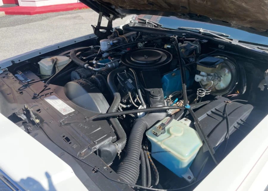 1981 Cadillac DeVille 5th Gen - Image 12 of 13