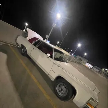 1981 Cadillac DeVille