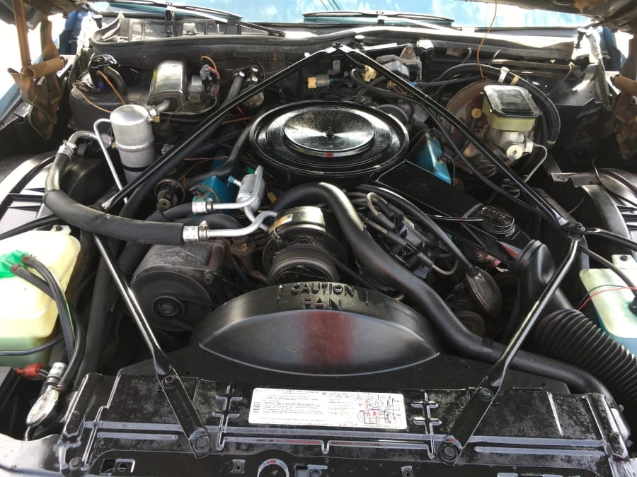 1981 Cadillac DeVille 5th Gen - Image 5 of 7