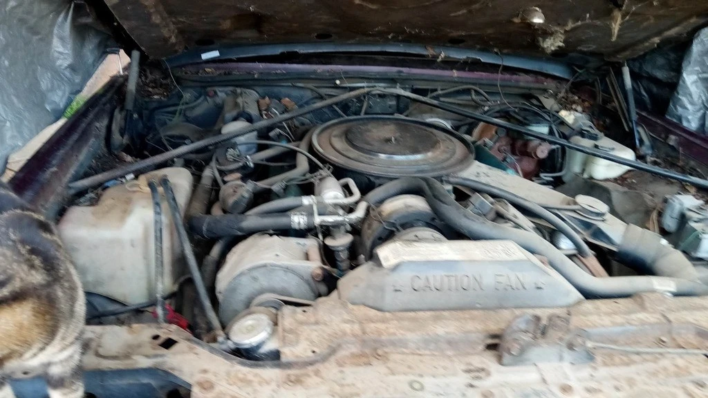 1981 Cadillac Eldorado 10th Gen - Image 10 of 12