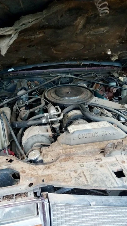 1981 Cadillac Eldorado 10th Gen - Image 11 of 12