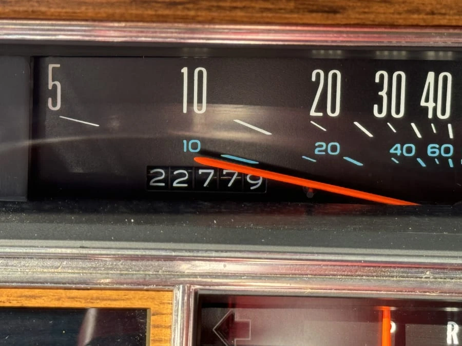 1981 Cadillac Eldorado 10th Gen - Image 13 of 16