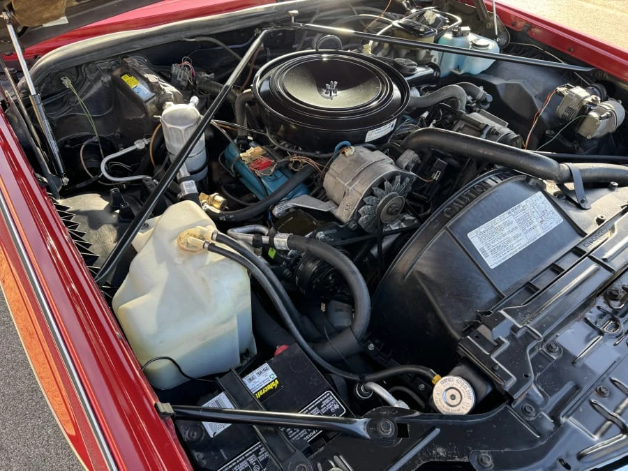 1981 Cadillac Eldorado 10th Gen - Image 15 of 16