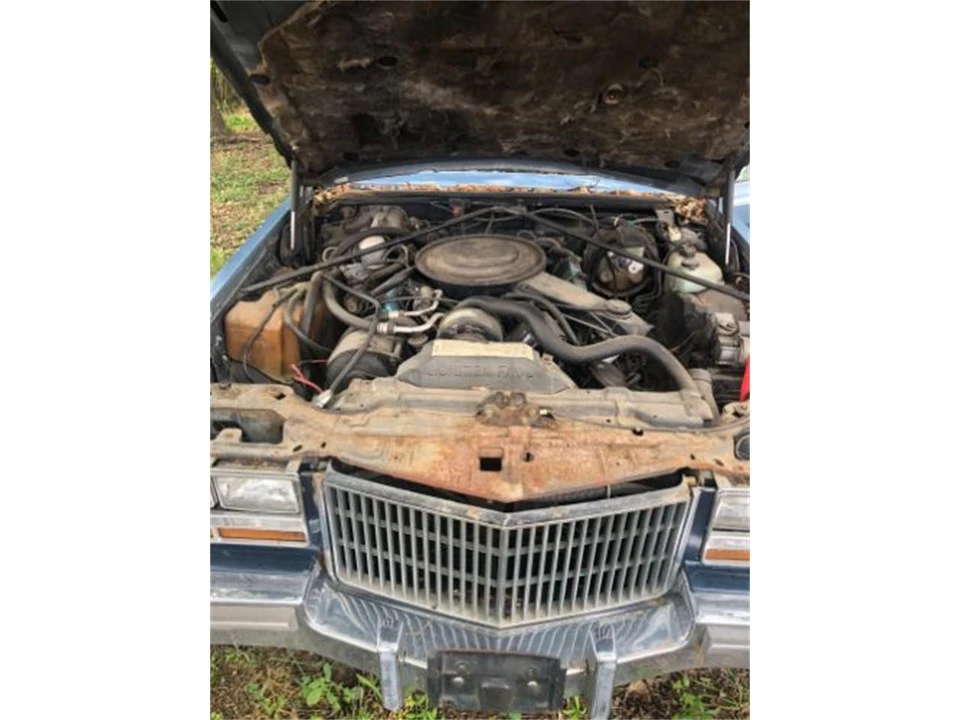 1981 Cadillac Seville - Image 13 of 14