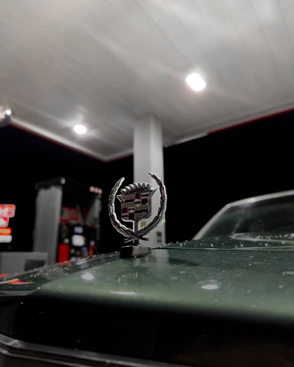 1981 Cadillac Fleetwood - Image 3 of 14