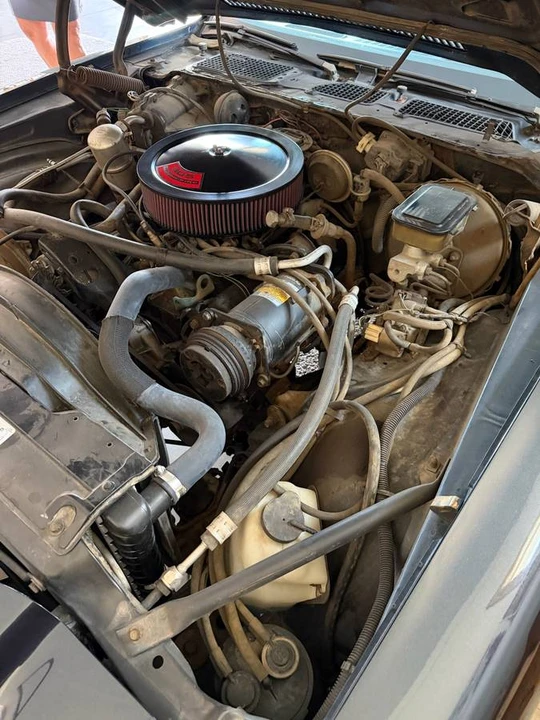 1981 Chevrolet Camaro 2nd Gen - Image 11 of 12