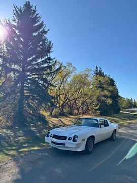 1981 Chevrolet Camaro Z28