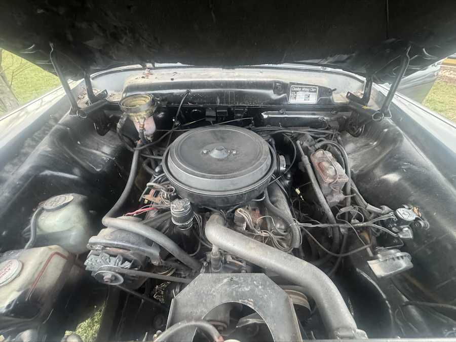 1981 Checker - Image 18 of 18