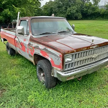 1981 Chevrolet 1/2 Ton 4x4