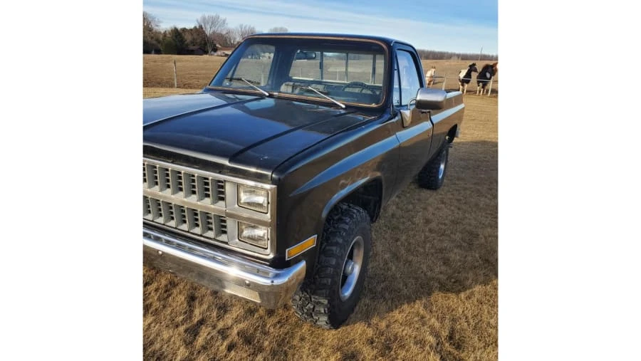 1981 Chevrolet C/K 3rd Gen - Image 4 of 4