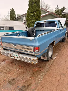 1981 Chevrolet 1500 Regular Cab