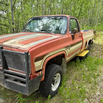 1981 Chevrolet 1500 Regular Cab Custom