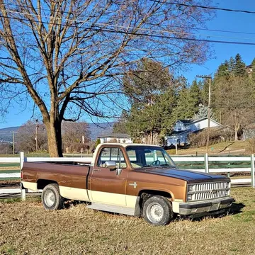 1981 Chevrolet 1500 Regular Cab