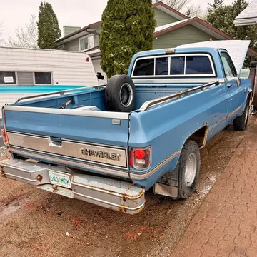 1981 Chevrolet 1500 Regular Cab