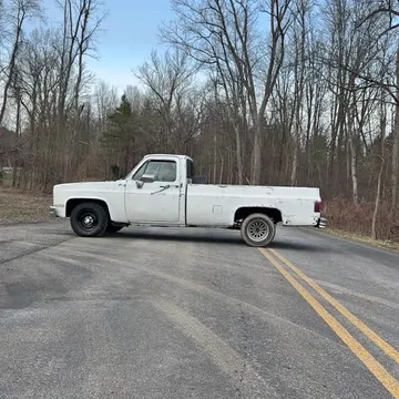 1981 Chevrolet 1500 Regular Cab