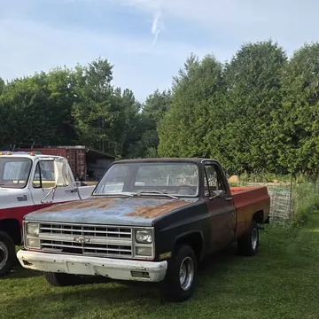 1981 Chevrolet 1500 Regular Cab