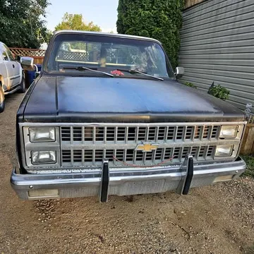 1981 Chevrolet 1500 Regular Cab