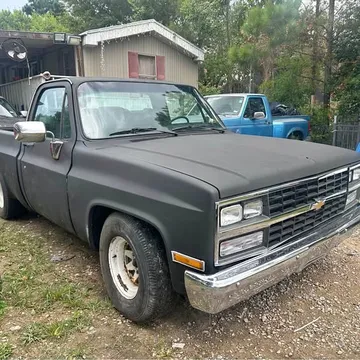 1981 Chevrolet 1500 Regular Cab Short Bed