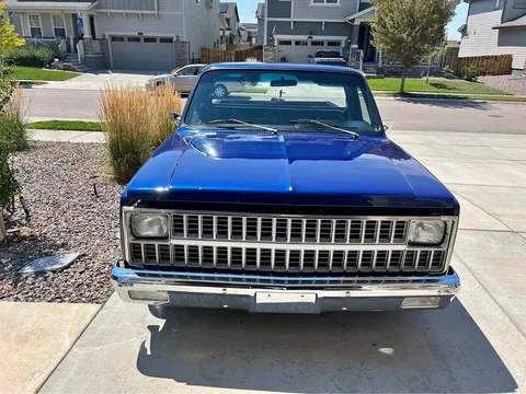 1981 Chevrolet C-10