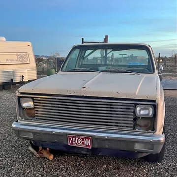 1981 Chevrolet C-10