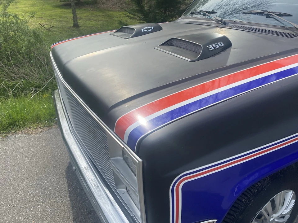 1981 Chevrolet C/K 3rd Gen - Image 4 of 20